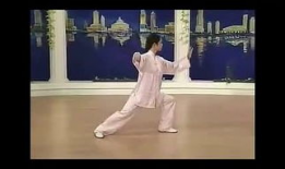 太极拳24式视频完整版,一招一式，尽展太极魅力